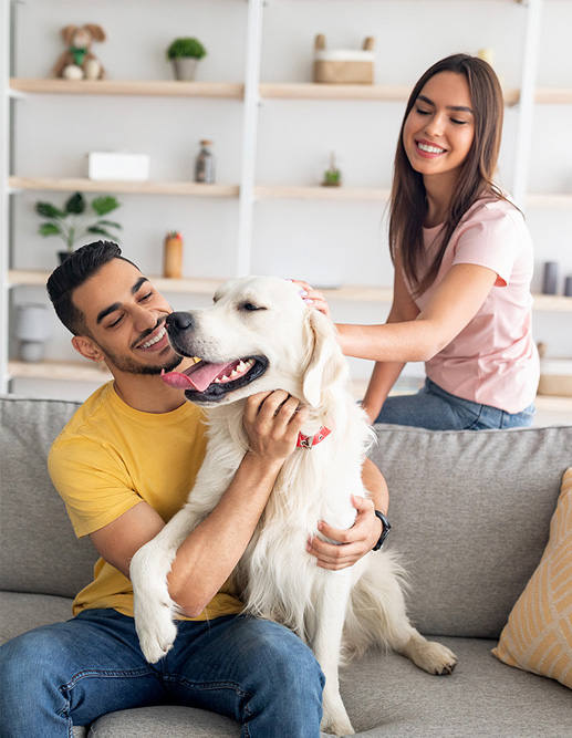 smiling couple petting large dog in living room on couch